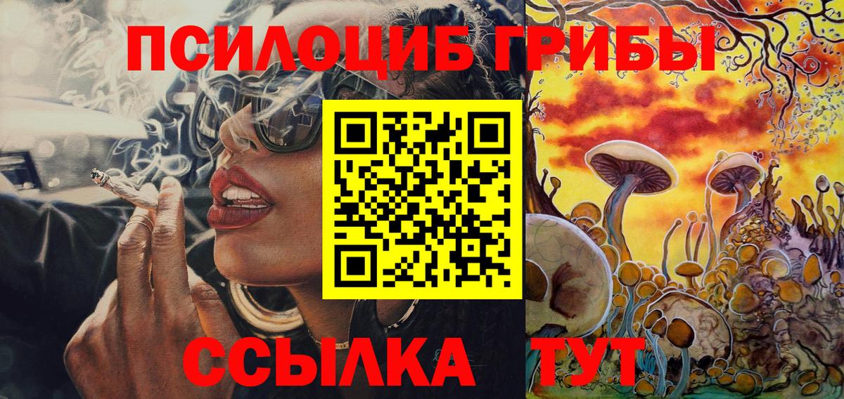 Псилоцибиновые грибы Psilocybe  Псилоцибиновые грибы ЛСД  Топки  Вход с VPN 