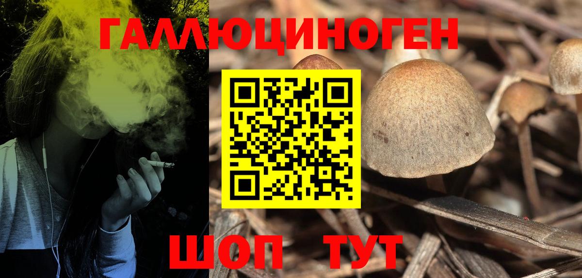 Псилоцибиновые грибы мухоморы Топки